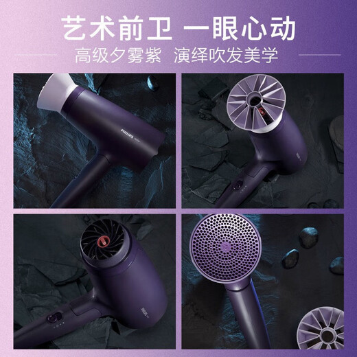 Philips (PHILIPS) hair dryer household hair dryer constant temperature quick-drying high-power hair dryer handle foldable hair dryer BHD318/05