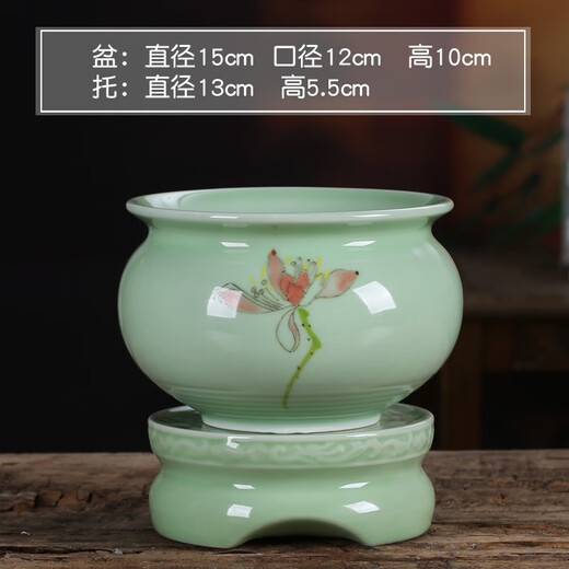 Yuxuantang Celadon Sukkulente Phalaenopsis Spezialblütenblüte mit Basis großgrößen Keramik Lazy Simple Spider Plant Orchidee Bonsai yy Pink Pflaumen Grün 719+ Lazy Base