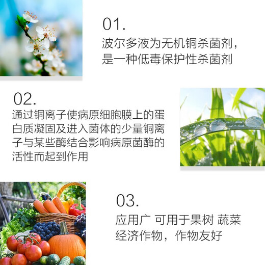 Puzhan 80% Bordeaux liquid vegetable and fruit tree downy mildew anthracnose ring spot wildfire pesticide fungicide 1000g