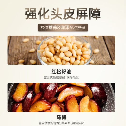 吕（Ryo）黑吕臻参焕活洗发水400ml  修护发质 柔顺发丝 洗发露蓬松洗头膏