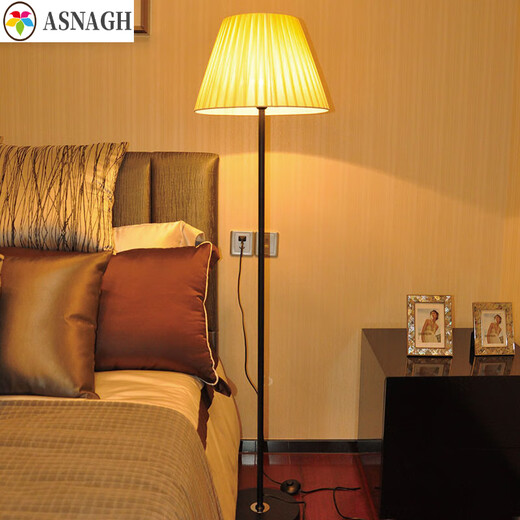 ASNAGHI Floor Lamp Living Room Bedside Sofa Vertical Internet Celebrity Live Broadcasting Amenity Feeding Simple Remote Control Floor Lamp Black Lamp Pole + Foot Switch + 9WLED Support Tmall Genie Control