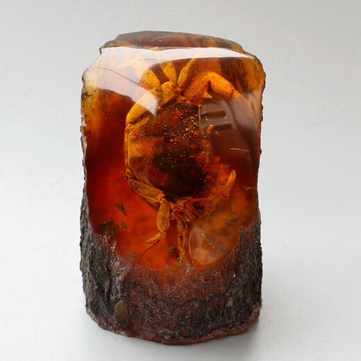 Swiss artificial amber crab specimen resin crafts real insect animal raw stone fossil insect amber ornaments picture color