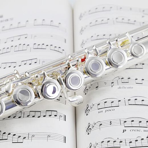 
ROFFEE flute instrument 17 open and closed hole dual-purpose silver-plated flute students beginners playing elbow flute instrument 17 hole C-tuning white copper open and closed hole dual-purpose 505 college level