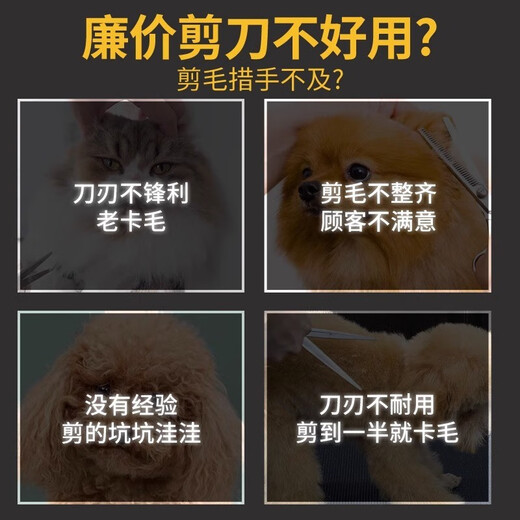 Ferret Fragrance Pet Grooming Scissors Cat and Dog Hair Trimming and Barbering Supplies Stainless Steel Comb Curved Scissors Straight Scissors Scissors Set Beauty Trimming Set Cost-effective Recommendation