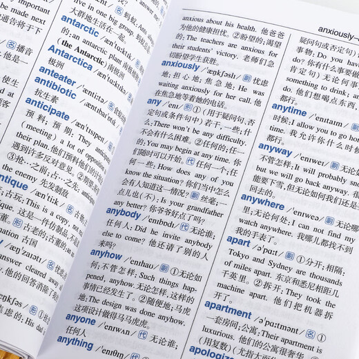 学生英汉汉英词典 双色插图版 英语字典词典工具书小学初中高中学生实用牛津词典大学四六级