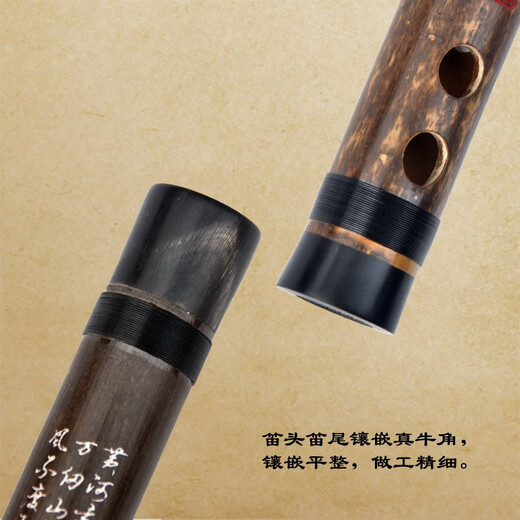 管子先生单节专业紫竹笛小笛子乐器横笛成人儿童男女生初学牧童笛古风 F调+笛包