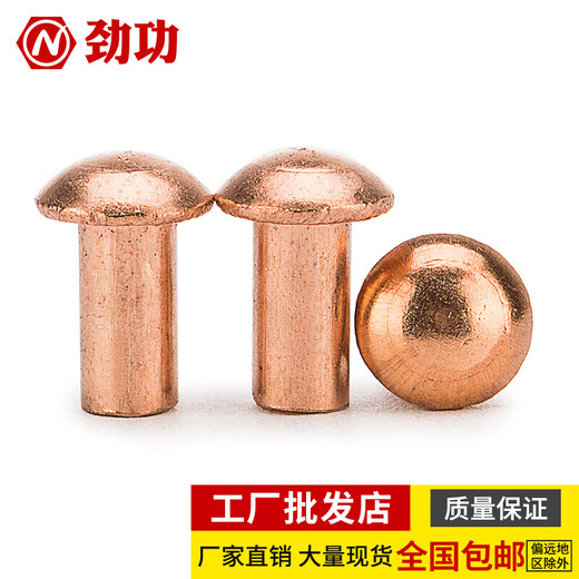 Jinggong copper rivets semi-round head solid rivets round head rivets copper solid copper rivets M2.5M3M4M5M6 3*5 (200 pieces)