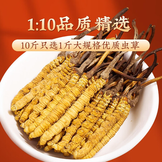 圣迪康藏冬虫夏草 新干虫草滋补送礼物佳品 送长辈礼品 营养品 3根/克  10克30根礼盒装