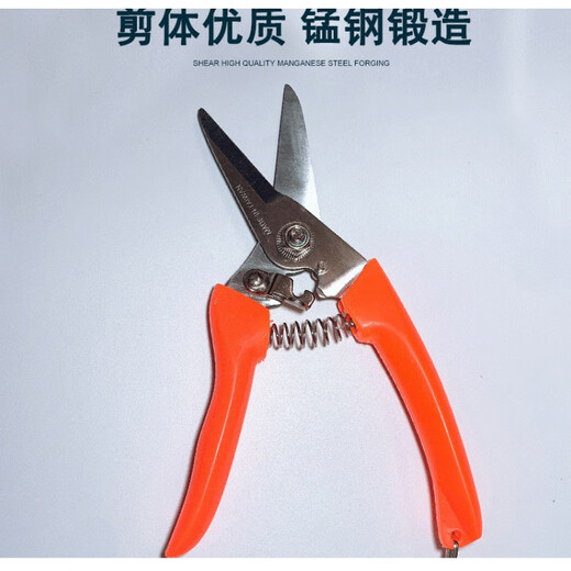 Yichen customized I scissors electrician wire trough tiger scissors Tiger head brand wire trough shears gardening shears 702