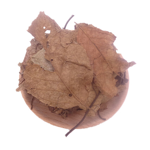Linshitang Chinese herbal medicine Eucommia ulmoidea leaves Eucommia tea Natural Eucommia ulmoidea leaves Zhangjiajie Eucommia ulmoidea leaves Xionghuanensis ulmoidea leaves 500g