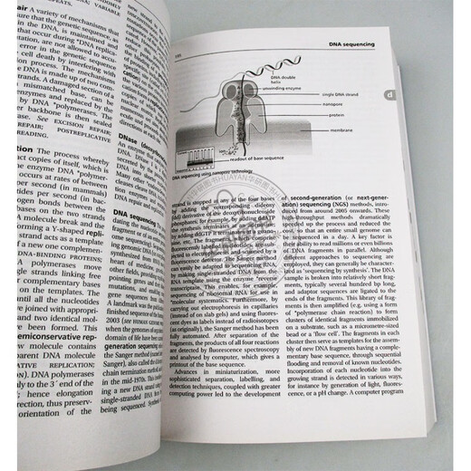 Oxford English Dictionary of Biology Original English Dictionary A Dictionary of Biology Englisch-Englisch-Wörterbuch 9780198821489