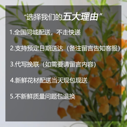 Huayiwan Tomb-Sweeping Festival chrysanthemum flowers are delivered in the same city and sacrificial bouquets are delivered to flower shops in the same city across the country. 7 yellow and white chrysanthemums are mixed and matched-recommended. Flowers are delivered to your door in the same city and the estimated delivery time is displayed. Just leave a message and receive the flowers.