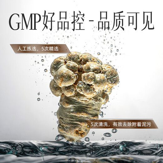 Yunnan Baiyao Leopard Seven Panax Notoginseng Polvo de notoginseng de liofos