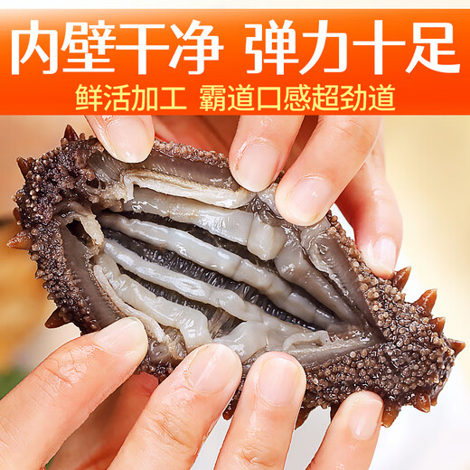 Meifengtang ready-to-eat sea cucumber Dalian individually packaged fresh wild bottom sown Liao cucumber and sea cucumber seafood New Year's goods 16-20 pieces 500g