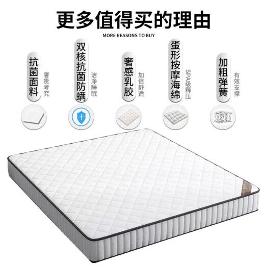 初宿席梦思床垫软硬两用20cm厚1.8米1.5m椰棕双人家用经济型弹簧床垫 经济偏硬22cm  精钢簧+椰棕 1350mm*2000mm