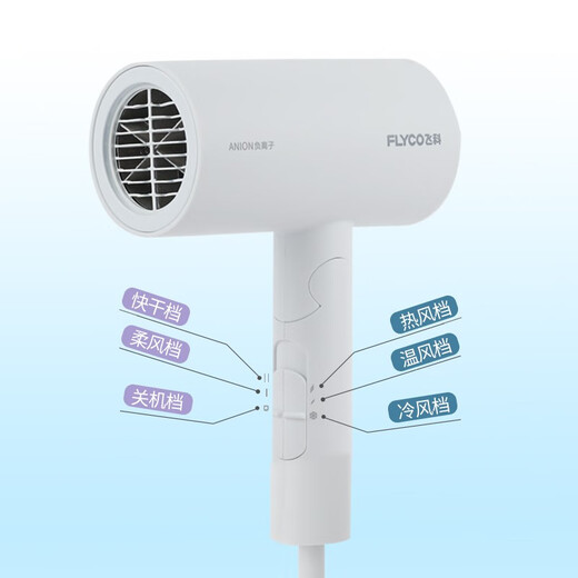 Flyco FH6618 6232 Sécheur de cheveux haute puissance 2000W Taille d'air chaud et froid Ion Ion Home Sècherie noire 6231 2000W