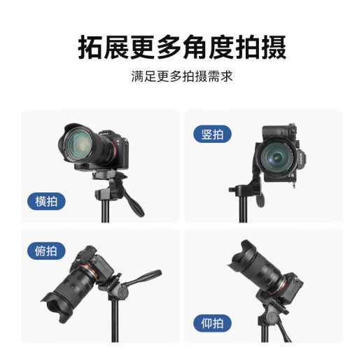 云腾608桌面三脚架单反相机手机通用小巧支架直播vlog旅行爬楼户外微距摄影小型便携三角架横竖可调款 608三脚架【送手机夹】