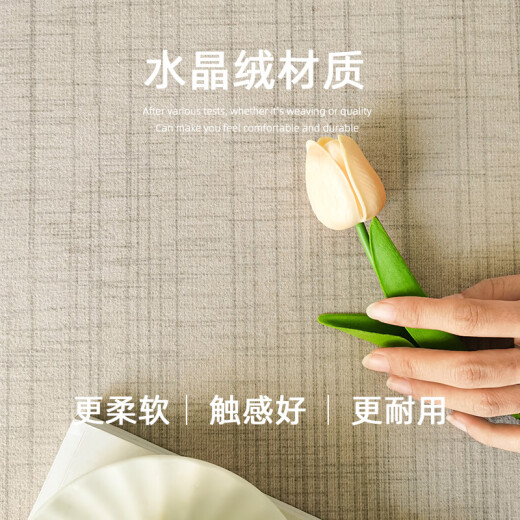 Le salon du tapis SOCIAL SOFFAT COVERNE LA LA LA LA BASE PEUX PEUT être essuyé gratuitement de ménage irrégulier imperméable et sa chambre sale moderne 8475 200cm * 300cm [Création forme de conception personnelle