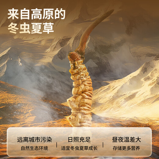 Tongrentang brand Cordyceps sinensis about 4 roots/g100g about 400 roots tonic gift box postoperative tonic products to send to elders