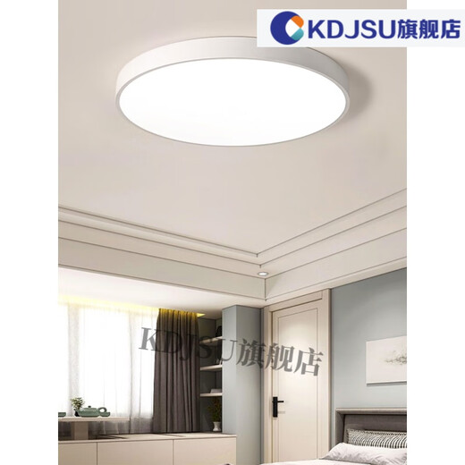 秀雷华艺照明 吸顶灯卡奇洛吸顶灯圆形卧室灯现代简约大气客厅灯过道 白美圆-23cm18W高光