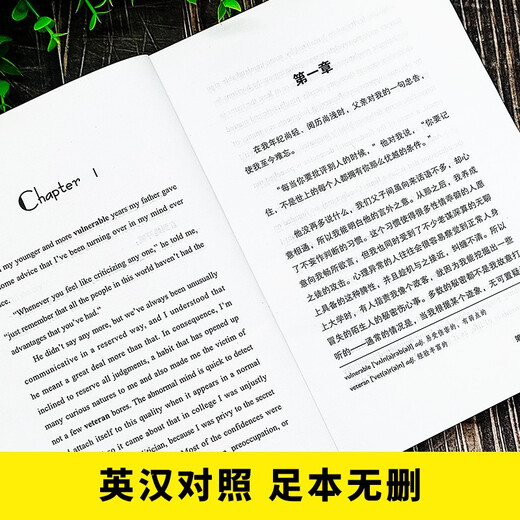 The Great Gatsby English-Chinese annotated edition, free bilingual audio in Chinese and English, Chinese-English bilingual edition, world classic literary classics, recommended extracurricular reading for junior high school students, English novels, original English version, full Chinese translation of the original work
