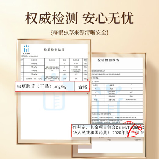 紫蓝花海3-4根/g 1g  冬虫夏草高品质虫草滋补品尝鲜【健康礼盒】