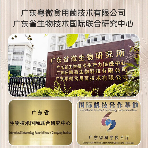 
Yuewei Brand Ganoderma lucidum spore oil soft capsule enhances immunity and helps protect liver and break the wall spore powder essence extract nutritional health products visiting diseases and giving gifts 25% 1 box * 36 capsules