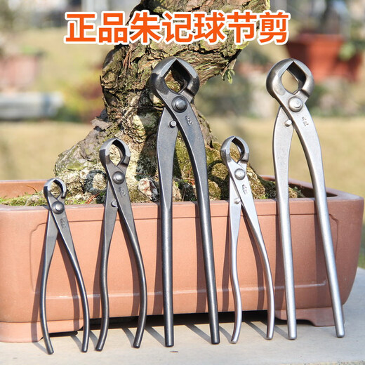 朱记球节剪球形剪朱记盆景工具球剪球钳朱记修枝剪不锈钢 B12210mm球节剪
