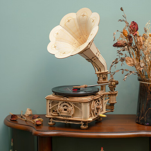 ROKR vinyl gramophone retro record player birthday gift for girls and boys diy desktop ornaments building block assembly model