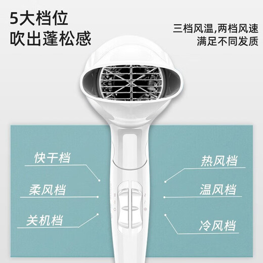 Séchante de cheveux Flyco Home High Power Hair Dryer Voyage Portable Hair Dryer Drive Hot and Cold Air Barber Pliage Fh6232 FH6232 White [2000W pliable]