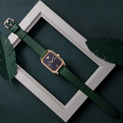 安普里奥·阿玛尼（Emporio Armani）手表女士小方表石英女表时尚镶钻腕表情人节生日礼物送女友 复古小绿表AR11149