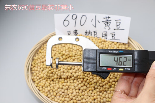 2024 Neues Getreide Nicht-GMO Extrem Small Grain 690 Sojabohnen Rohbean-Sprout Natto Special Small Golden Sojabohnenmilch 5 Jin [Jin gleich 0,5 kg]