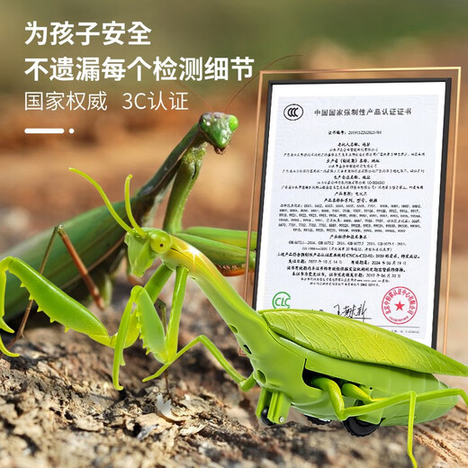 Qisen Fernbedienung Mantis Elektrische Simulation Kinderspielzeug Streich kreativer Artefakt Kakerlake 3 Jungen können Krabbeltiere Fernbedienungskontrolle Lady Käfer Red 9922+ Schraubendreher Offizieller Standard bewegen