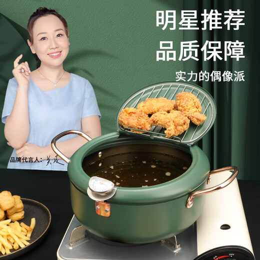 Japanese tempura fryer household small fryer with lid deep fried chicken potato provincial frying oven gas gas 1cm 20cm 2 points 2L natural silver trumpet + 04 filter oil