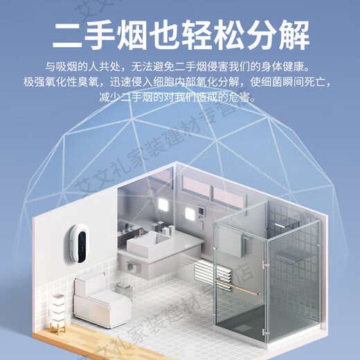 EVANLEY German ozone generator sterilizer household air purifier industrial food factory car sterilization and formaldehyde removal 12V car 10g (cigarette lighter interface)