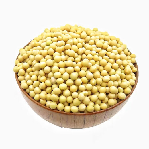 纳豆专用黄豆极小粒690小黄豆农家自种豆芽豆小金黄 纳豆专用 690小金黄豆 净重二斤