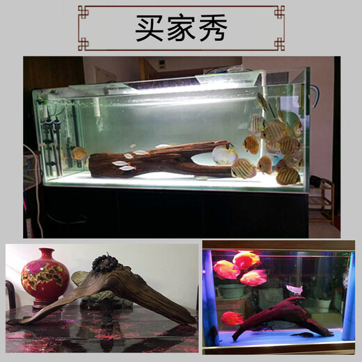 
SenYUAN (SENYUAN) Purple teak arch bridge-type sinking wood large fish tank landscaping ornaments natural branches have been boiled and submerged in the landscaping wood drying platform 1396 has been boiled and submerged in the