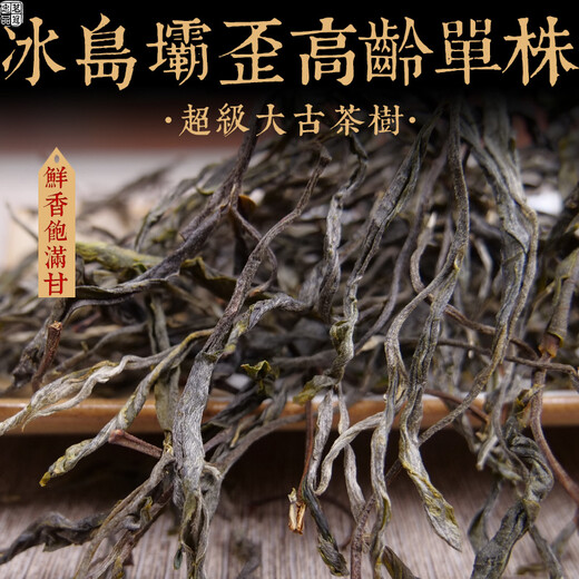 Mingguan Zhongpin 23-year-old spring tea, Iceland Bawai senior single ancient tree loose tea, Yunnan ancient tree tea, Pu'er tea loose tea 500g