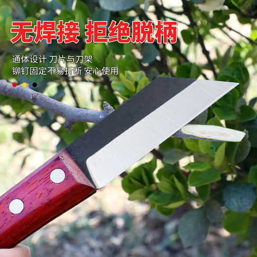 Otis grafting artifact grafting knife multifunctional handmade knife fruit tree thick tree grafting tree bud grafting knife gardening special tool knife conventional grafting knife