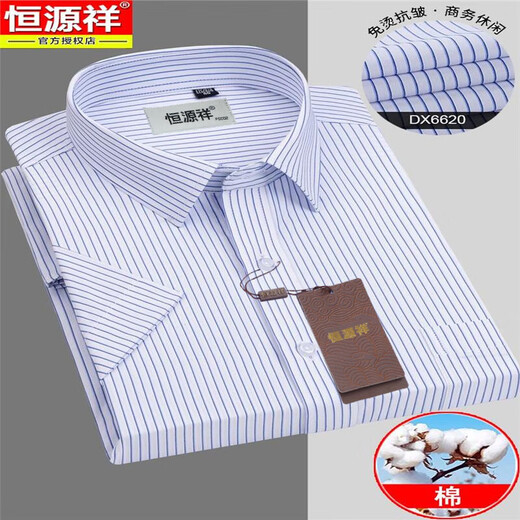 Hengyuanxiang-Shirt-Kurzärärmelen 2025 Sommer Eisenfreies Geschäft Formale Trage Echtes Taschenhemal-Lose-Shirt Dad Anzug Violet Heng-dx6624 S /38 Vorgeschlagen 95-115jin [Jin gleich 0,5 kg]