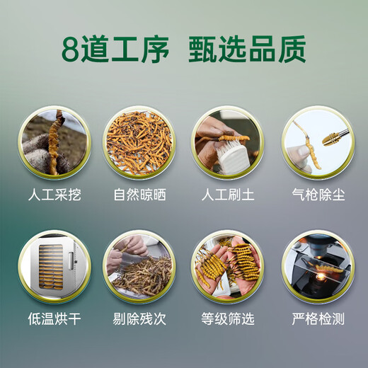 藏汐堂冬虫夏草4根/g 50克 200根装新干头期虫草干货冬虫草滋补礼盒