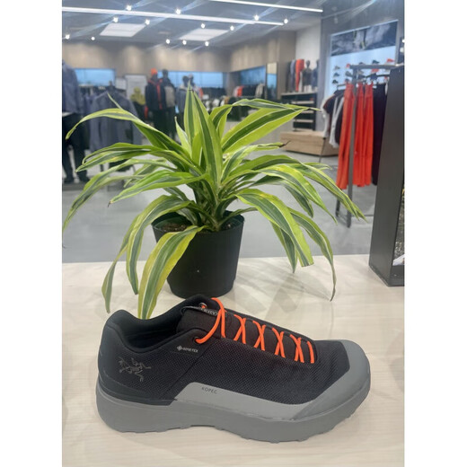 Arc'TERYX Canada Purchase KOPEC Embroidered Outdoor Shoes Hiking Shoes Not Returned and Exchangeable Women's Model Waterproof Low Top X9208 Layer Cloud Blue 40 Inner Length 25 cm
