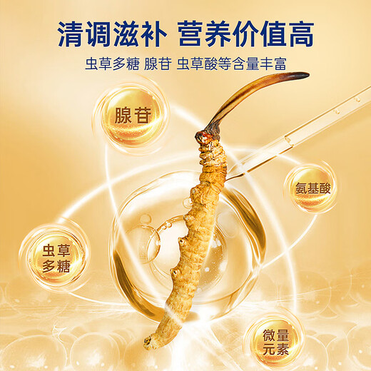 Purple and blue flower sea Cordyceps sinensis first dried Cordyceps tonic for holiday gift gift box 2-3 pieces/g 20g [selected quality]