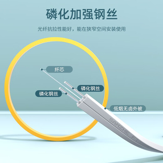 Shanze (SAMZHE) telecommunications grade leather fiber jumper SC-SC indoor single mode single core optical cable 1 core 2 steel wire tail fiber low smoke halogen-free fiber cable 20 meters TFH12-20B
