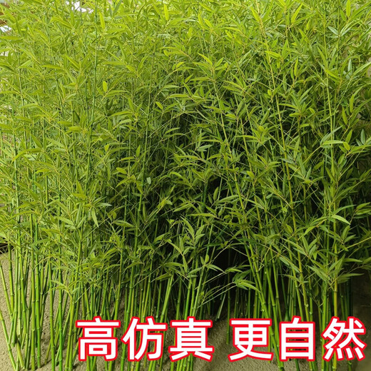 Hua e flow simulated bamboo outdoor decoration fake bamboo simulated plant landscaping bionic bamboo outdoor green plants 2.5 meters high 50 roots