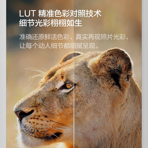 爱普生L8168 L8188墨仓式6色高端影像照片彩色无线打印机 A4/A3影楼办公喷墨打印复印扫描多功能一体机 L8188官配【自带墨水/三年质保/无线远程】