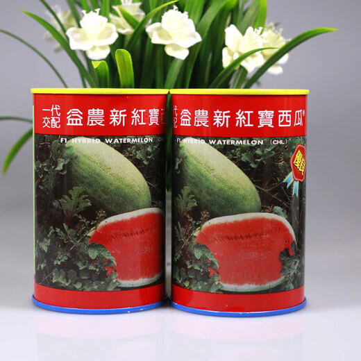 Chunzhiyun New Hongbao Watermelon Seed Authentic Medium Late Maturity Large Fruit Shape Red Heart Green Skin Single Melon Weight 13kg 200g New Hongbao Original 200g Planted 4 acres