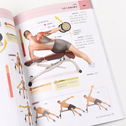 [] Mapa de color de entrenamiento de fuerza muscular producido por libros asíncronos