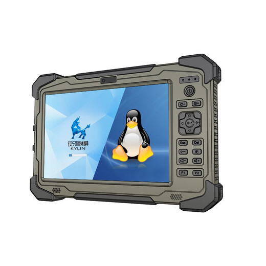 辰想 CXS10C 工业三防平板电脑工控机可选win7/win10/Linux/中标麒麟系统 CXS10-F（8+512G）飞腾腾锐D2000 win10企业版