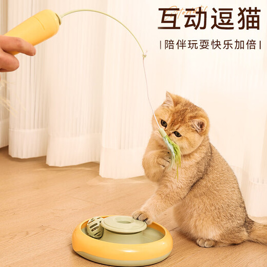 Huayuan Pet Toys (hoopet) Cat Toy Electric Cat Funny Stick Smart Cat Turntable Artifact Self-Enjoyment and Relief for Cats Pets and Dogs Fully Automatic Supplies